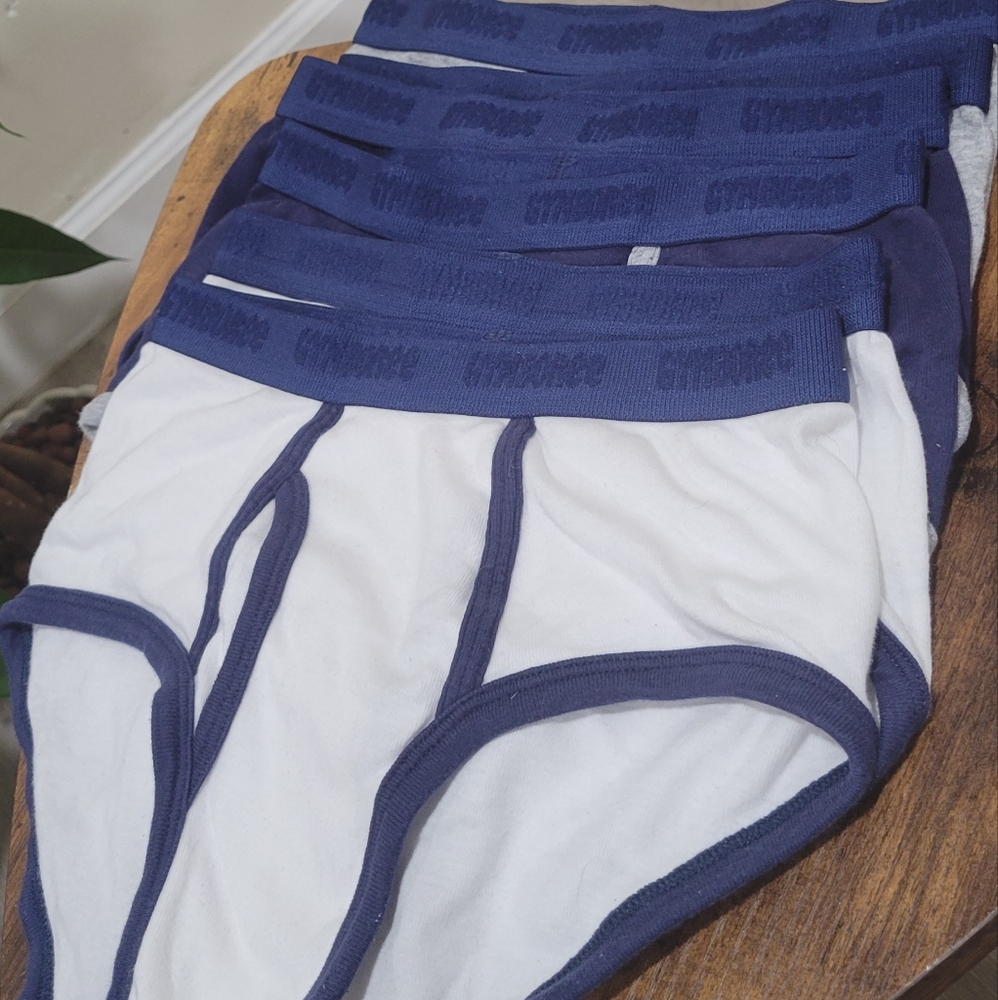 Gymboree Boys Brief Set Of 7